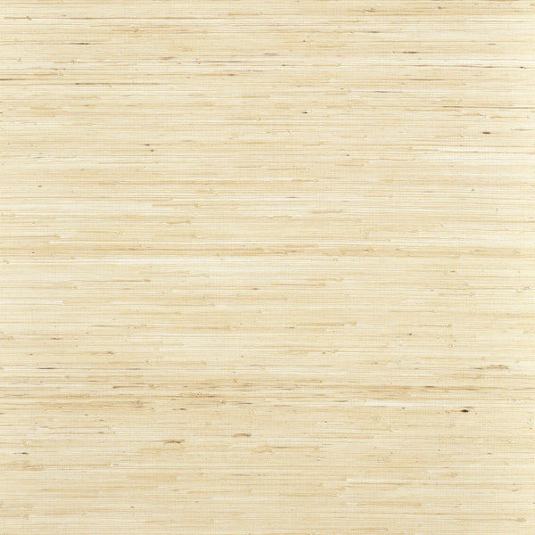 Sydney Paperwhite - Paperwhite Natural Wallcovering | Thibaut