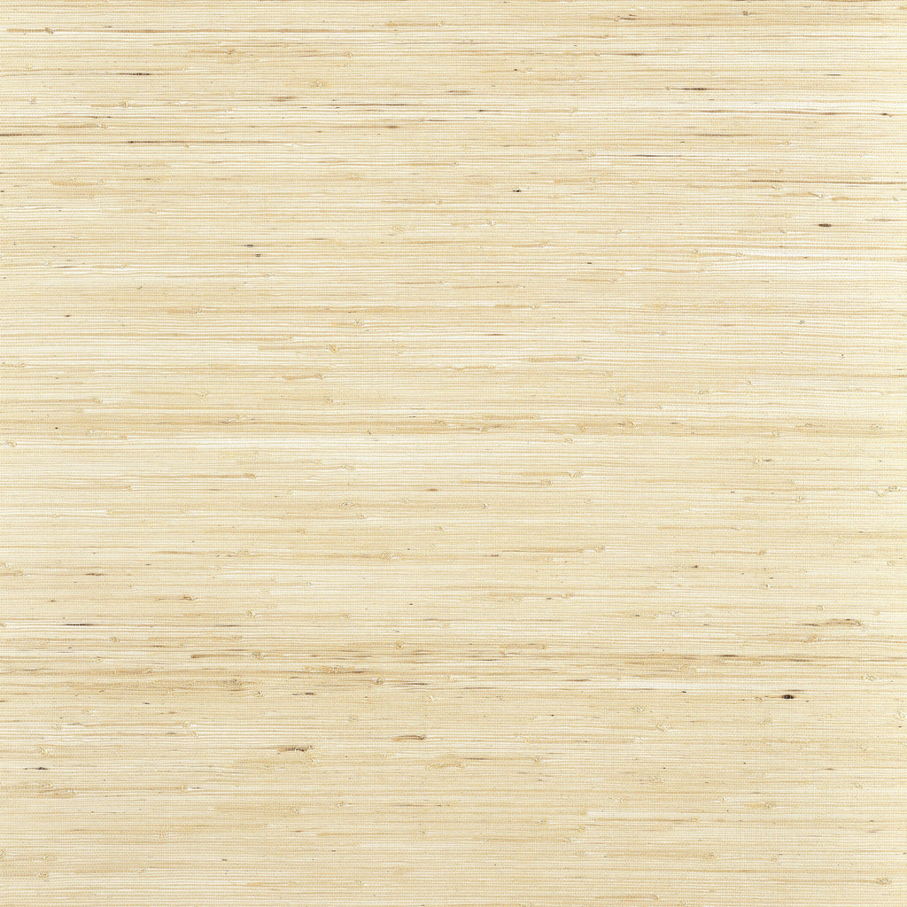 Sydney Paperwhite - Paperwhite Natural Wallcovering | Thibaut