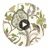 Windsor Brown and Green | Thibaut Wallcoverings Circular Swatch | Thibaut