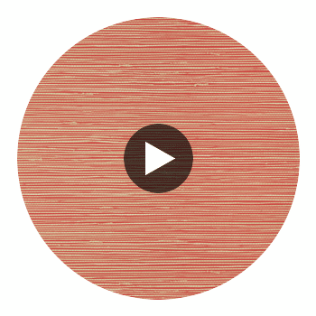 St. Thomas Coral | Thibaut Wallcoverings Circular Swatch | Thibaut