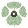 Mulberry Tree Green | Thibaut Wallcoverings Circular Swatch | Thibaut