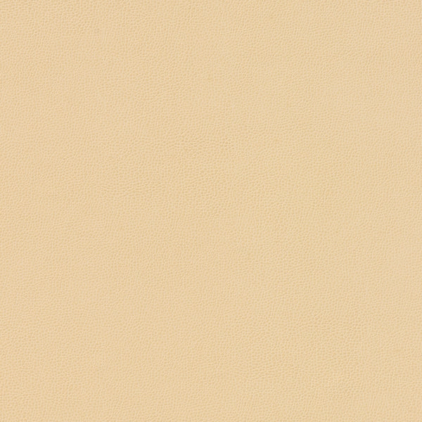 Carnegie Siltech Grain - Color 19
