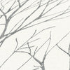 Attractive 2 Ivory Wallcovering | AS Creation