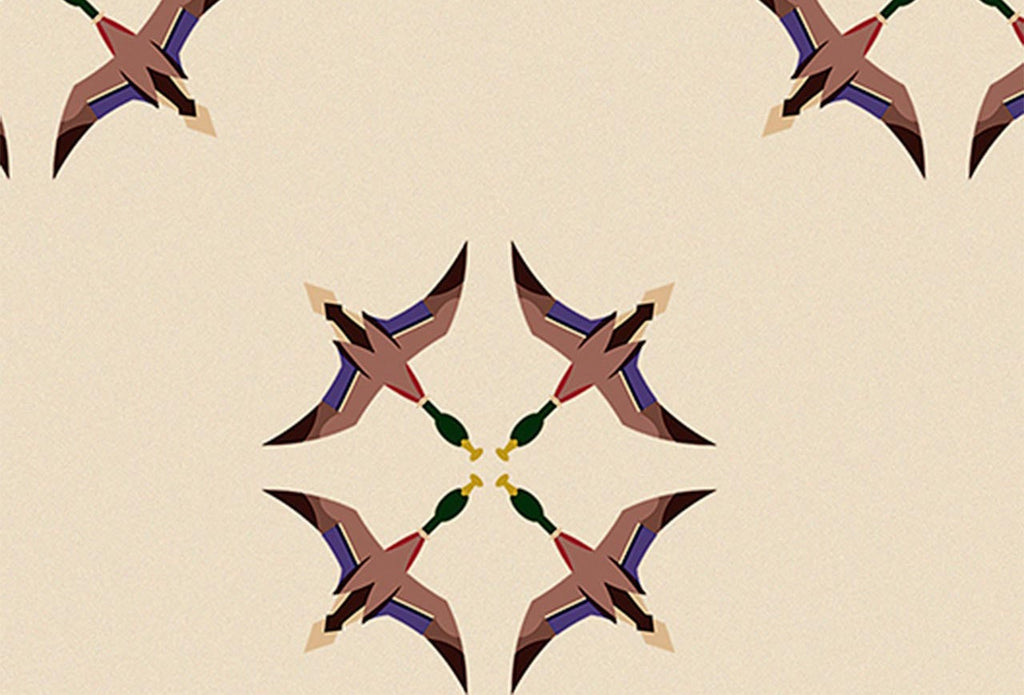 Ducks in Flight  - El Baile