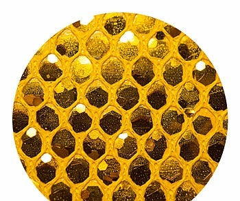 Eel Skin Sequin - Strong Yellow Gold | Glitter Walls