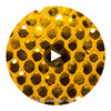 GLM-53013- Eel Skin Sequin Strong Yellow Gold designer-wallcoverings-los-angeles 2
