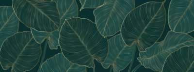 Elegant Philodendron - Dark Teal Commercial Wallcovering | Koroseal