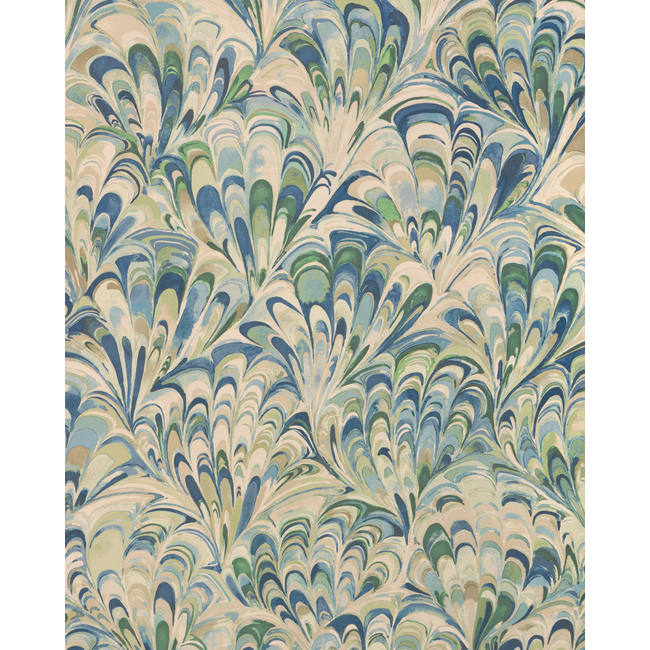 Ellis Paper - Bayside - Image 2