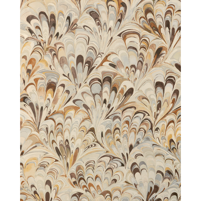 Ellis Paper - Camel - Image 2