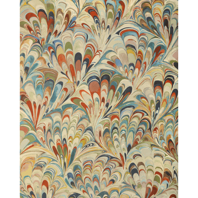 Ellis Paper - Multi - Image 2