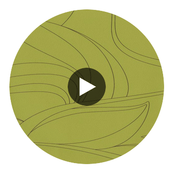 Elonza Vinyl | Hollywood Wallcoverings Circular Swatch | Hollywood Wallcoverings