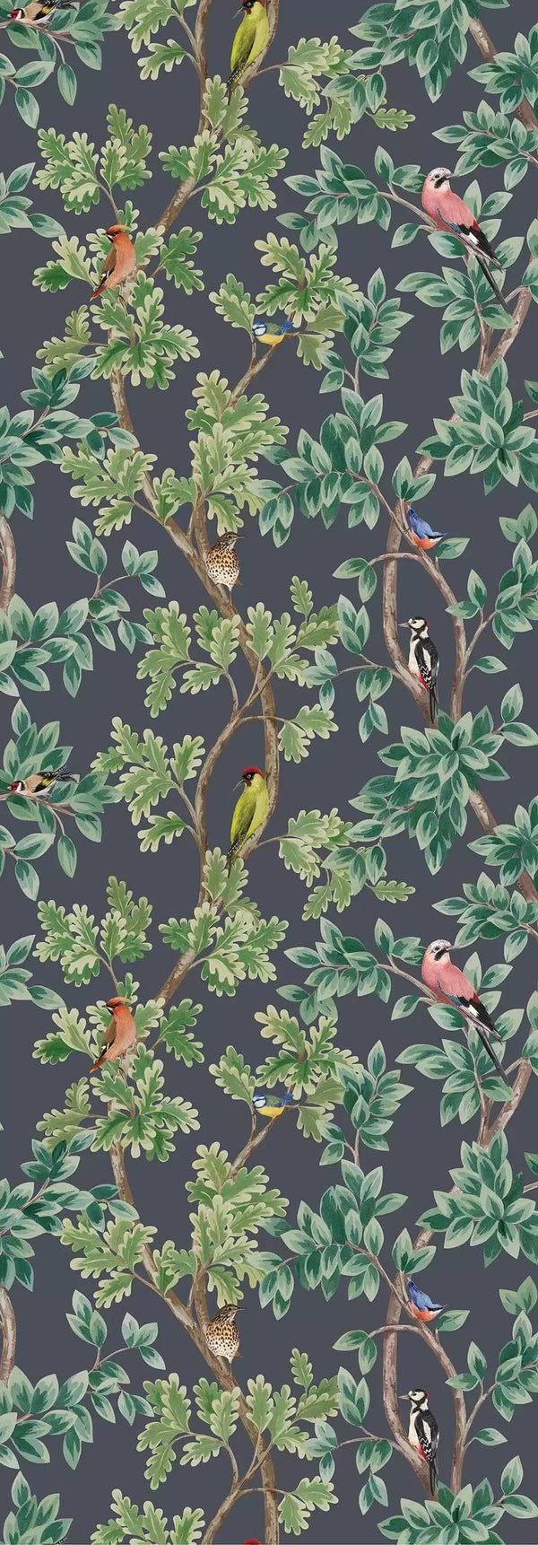 Netherfield Nature Charcoal | Osborne & Little Europe