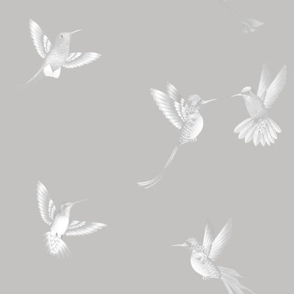Exotic Birds Duck Egg Blue - Pale Green Wallcovering | Brand McKenzie