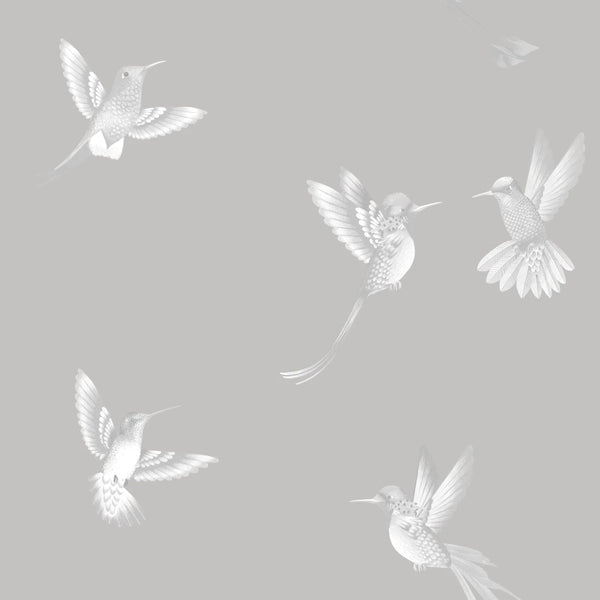 Exotic Birds Duck Egg Blue - Pale Green Wallcovering | Brand McKenzie