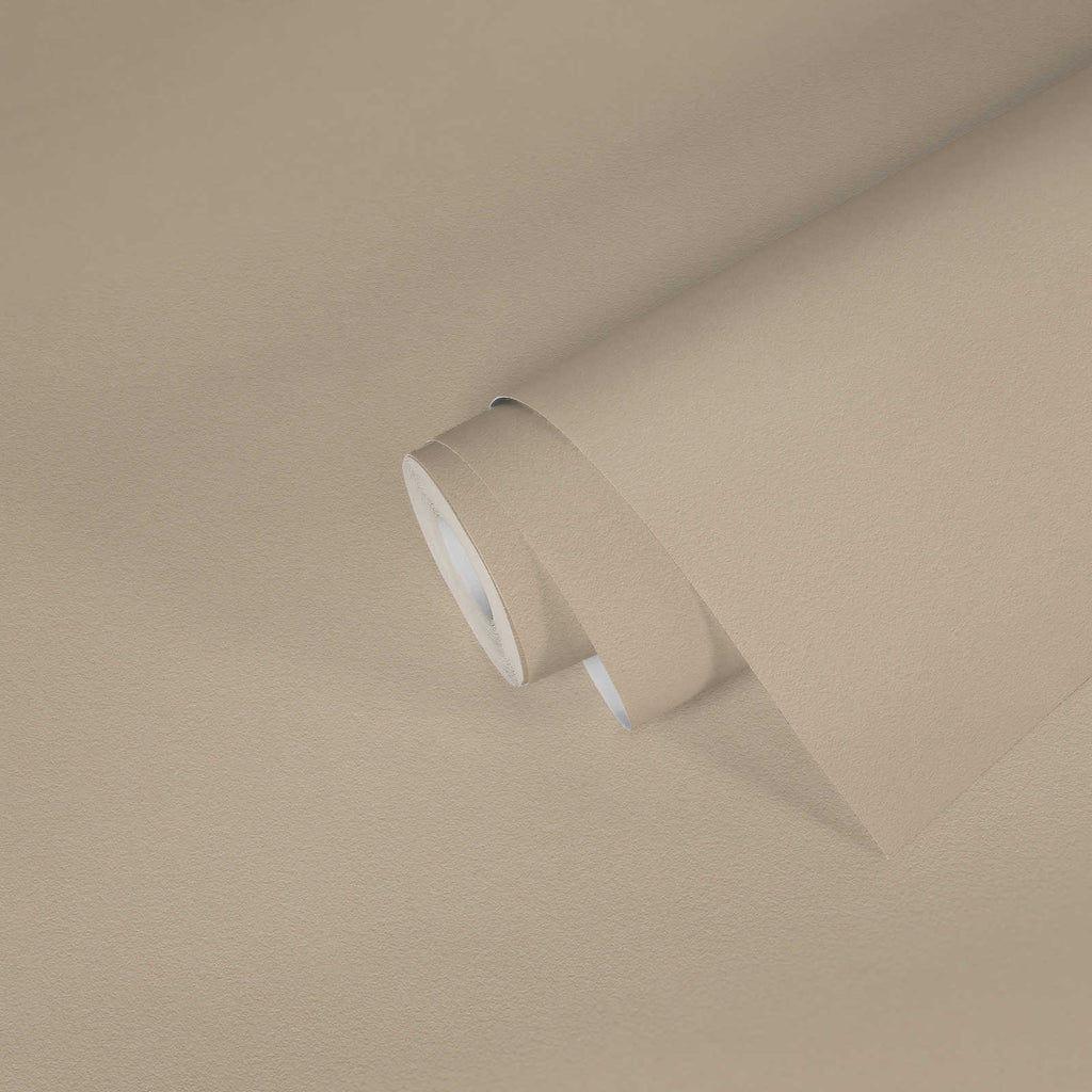 Styleguide Nature 2027 Beige Wallcovering | AS Creation