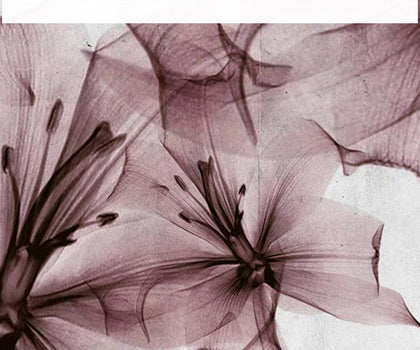 La Scalina Flowers | Coordone Europe