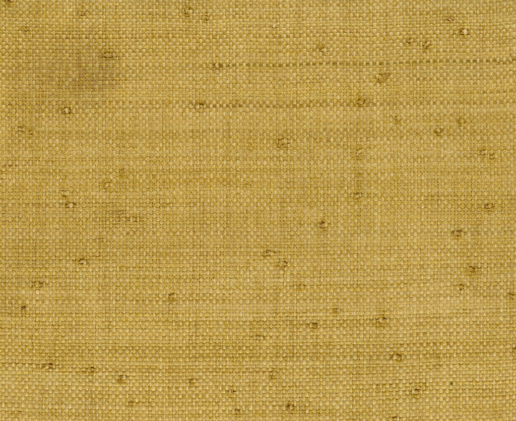 Sea Bright-Plain Paper Weave,raffia Raffia Wallcovering | Phillipe Romano — RAFF-500010