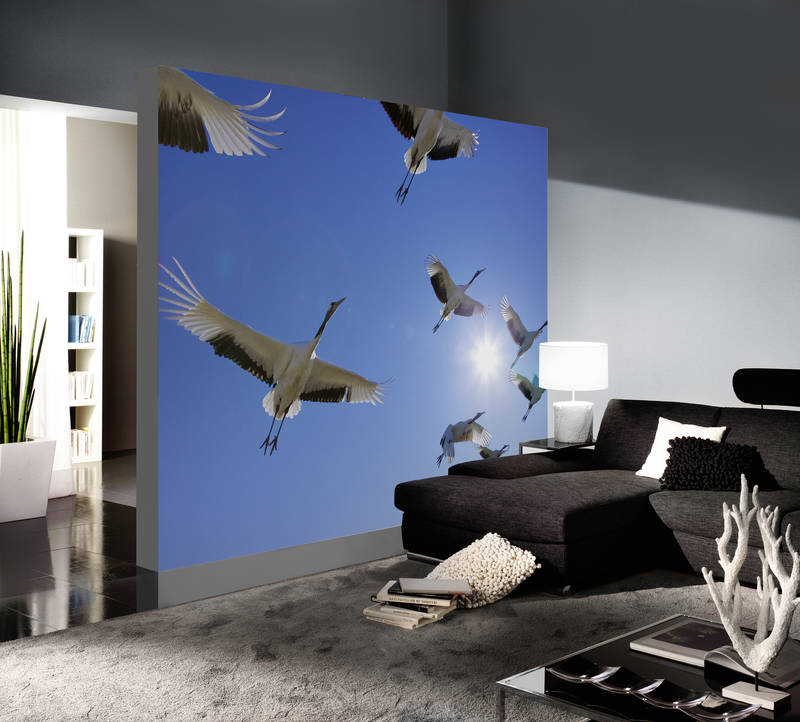 Ap Digital Blue, White Wallcovering | AS Creation