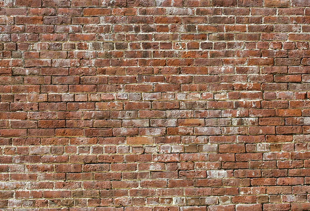 Lina Brick Walls
