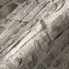 Elements Ii Beige Wallcovering | AS Creation