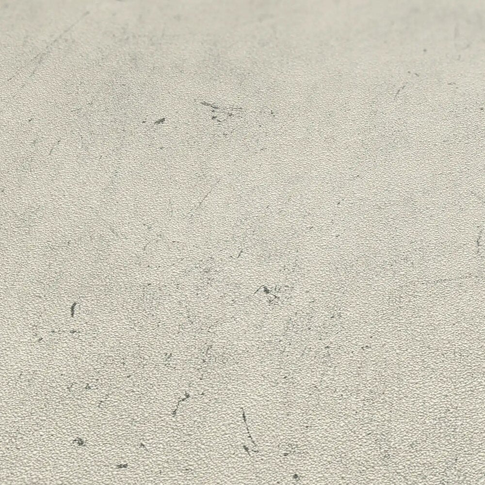 Daniel Hechter 7 Beige Wallcovering | AS Creation