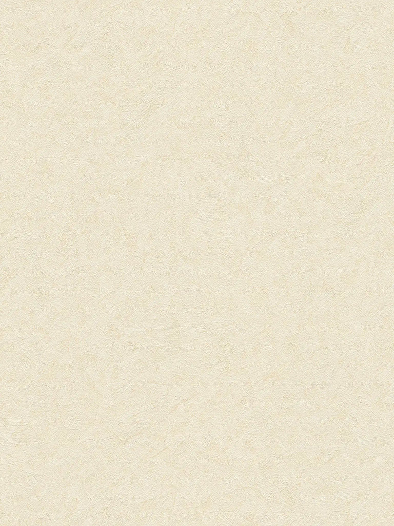 Styleguide Modern 2027 Beige Wallcovering | AS Creation