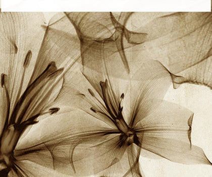 La Scalina Flowers | Coordone Europe