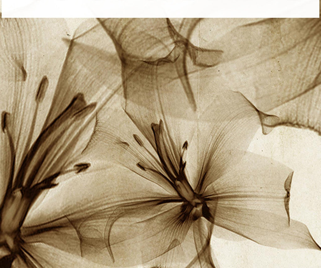 La Scalina Flowers