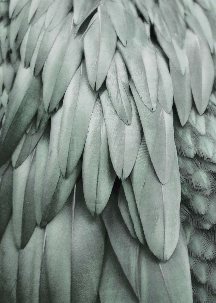 Artist Green Wallcovering | AS Creation