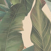 Drawn Into Nature Beige Wallcovering | AS Creation