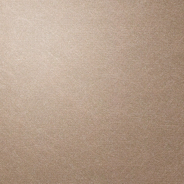 Sterns Wharf - Biscotti Commercial Wallcovering | Hollywood Wallcoverings