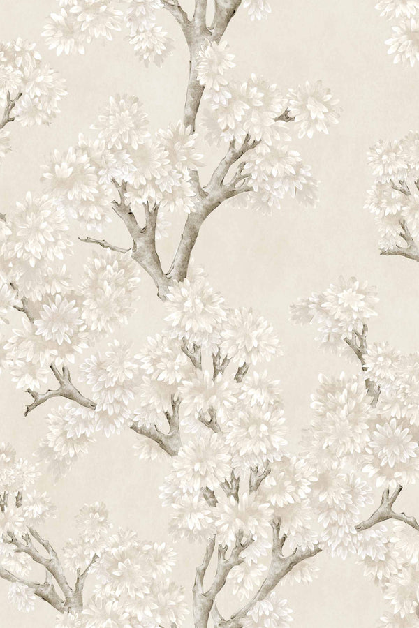 Field-Maple Bone | Coordonné