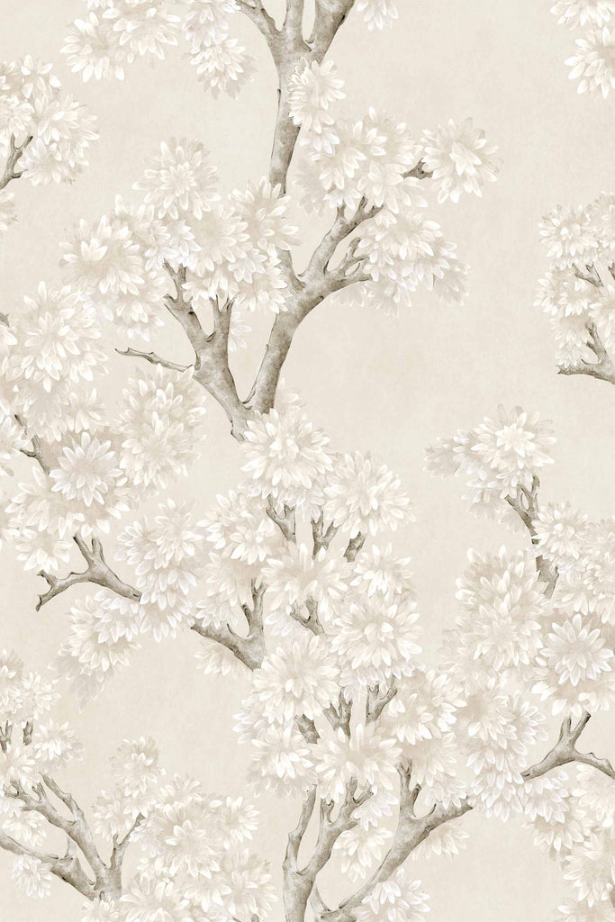 Field-Maple Bone | Coordonné