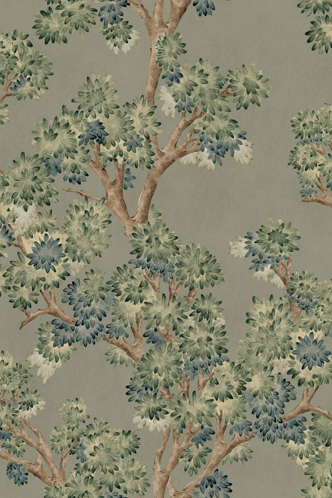 Field-Maple Sage | Coordonné