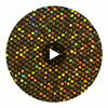 GLM-4132 Fishnet Sequin Glitter Black Gold Hologram designer-wallcoverings-los-angeles 2