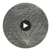 Flagler Embossed Durable | Hollywood Wallcoverings Circular Swatch | Hollywood Wallcoverings