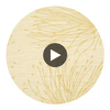 Flagler Embossed Durable | Hollywood Wallcoverings Circular Swatch | Hollywood Wallcoverings