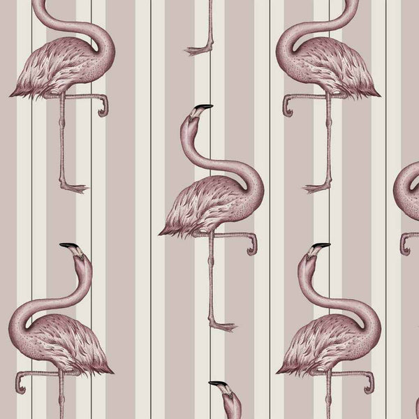 Flamboyance Off White Macaroon Pink, Sample Wallcoverings | House of Hackney