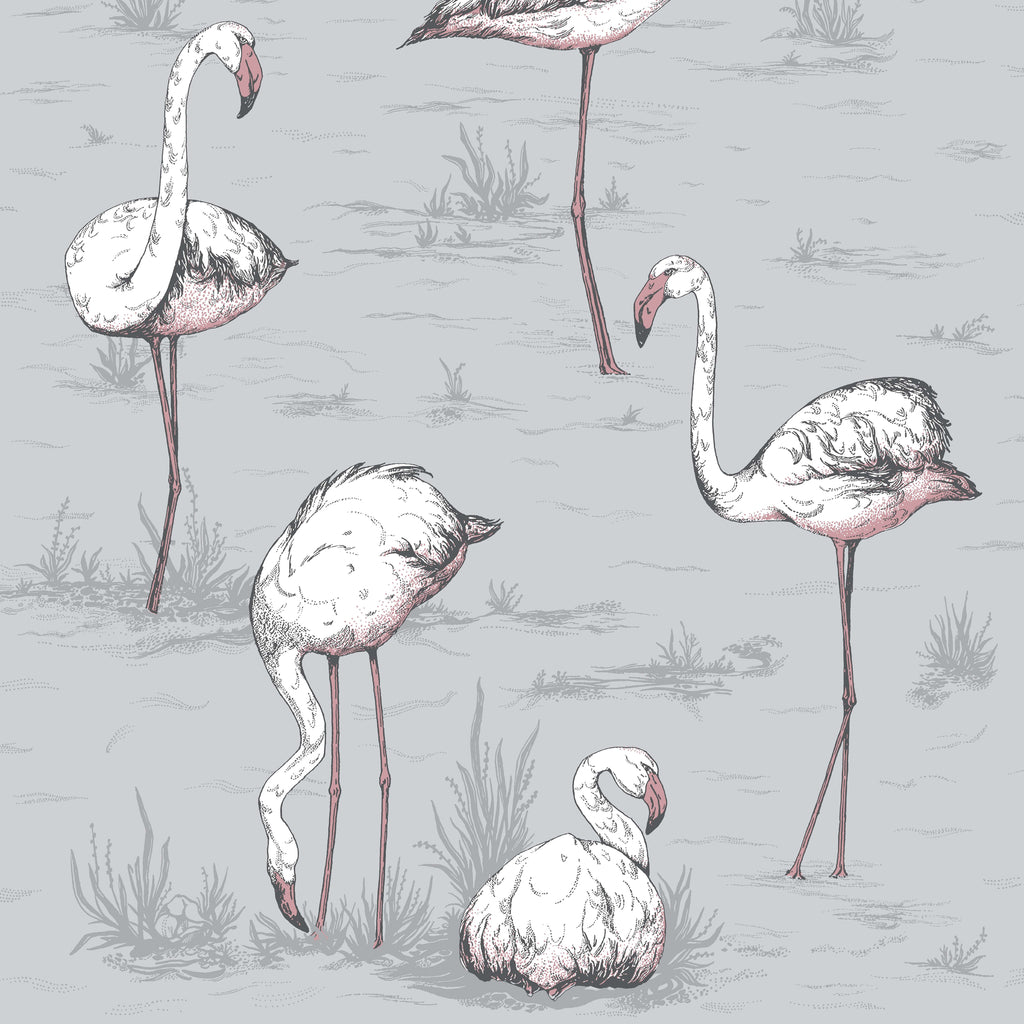 Flamingos - Grey