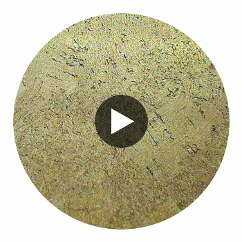 Florenza Cork | Phillipe Romano Circular Swatch | DW