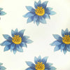 Floria Amelie