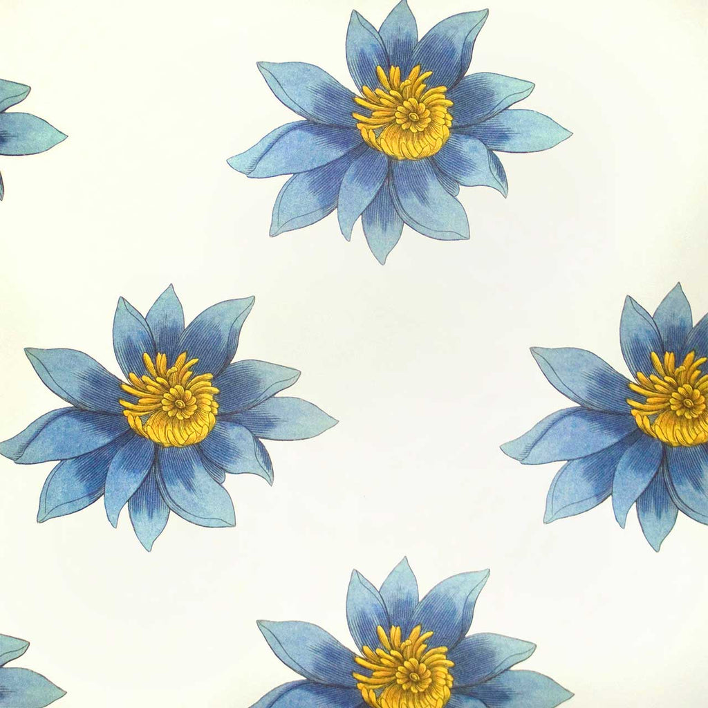 Floria Amelie