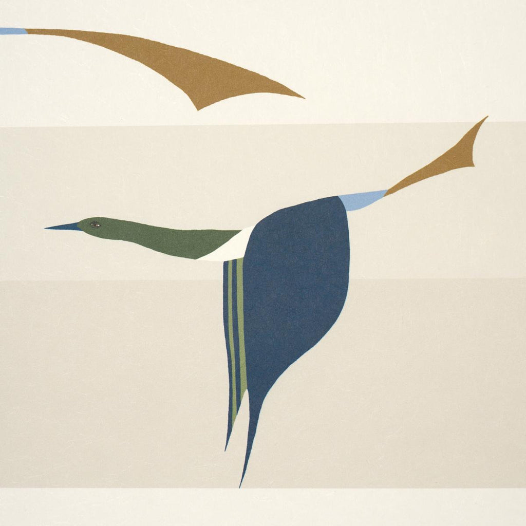 Flying West - Image 5