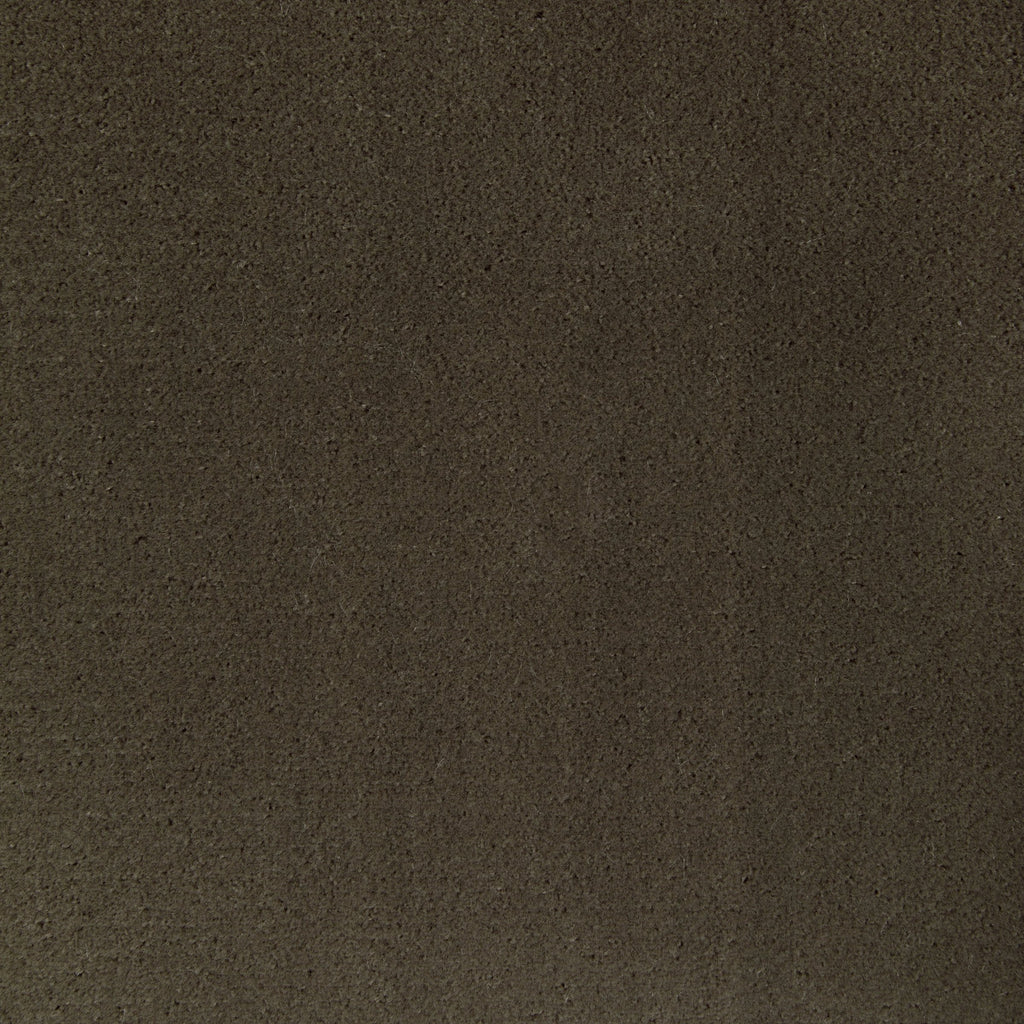 Fomo, Dark Olive