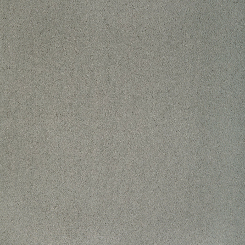 Fomo, Gray