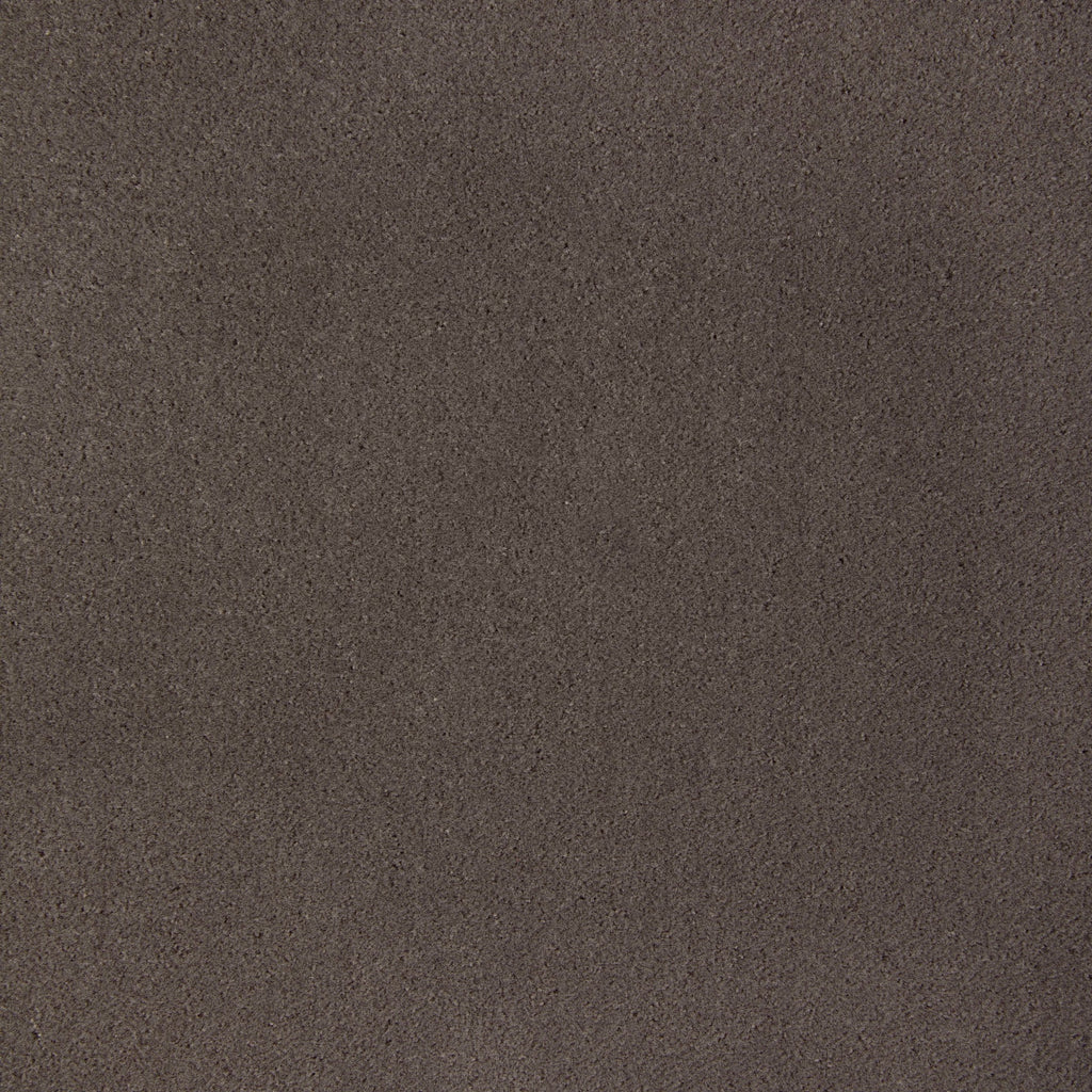 Fomo, Taupe