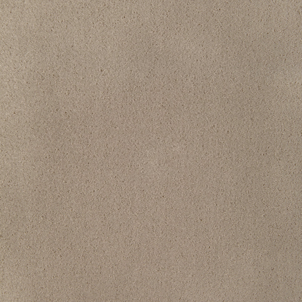 Fomo, Taupe