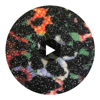 GLM-4080 Foral Leopard Glitter Black On Multi designer-wallcoverings-los-angeles 2