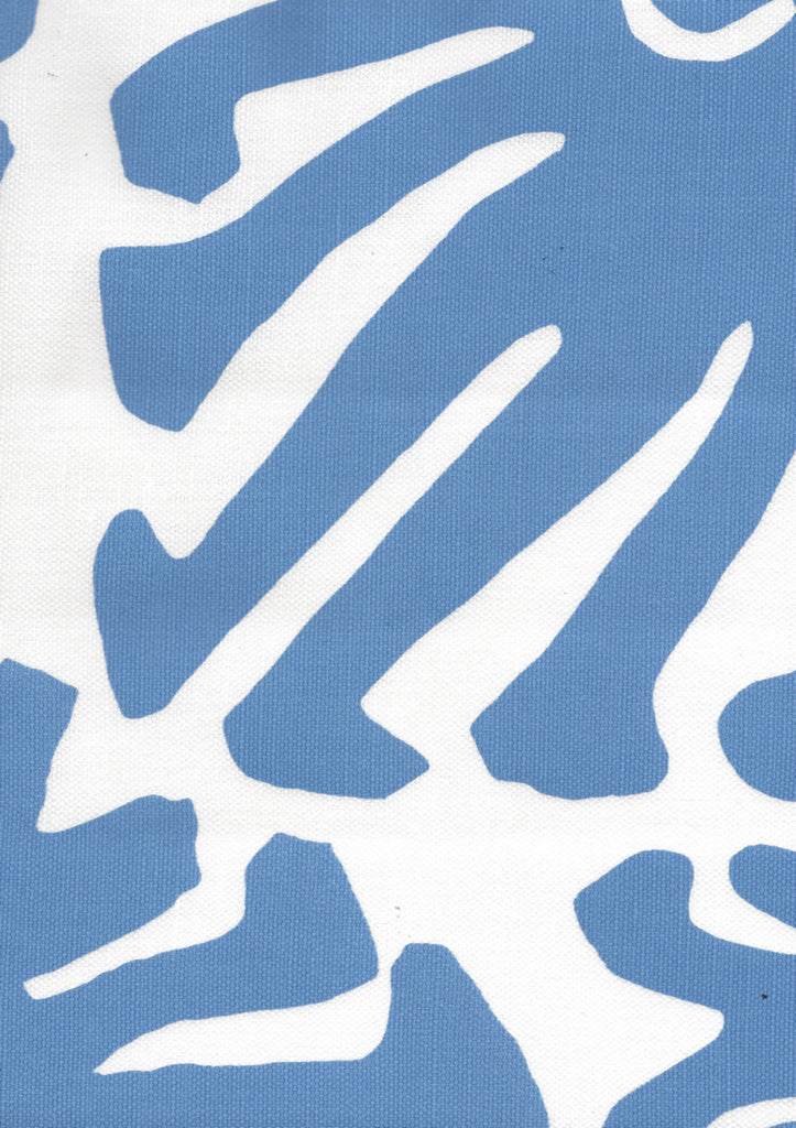 French Blue on White
