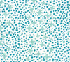 French Green Turquoise Dots on White